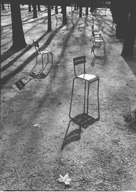 Chairs and Shadows