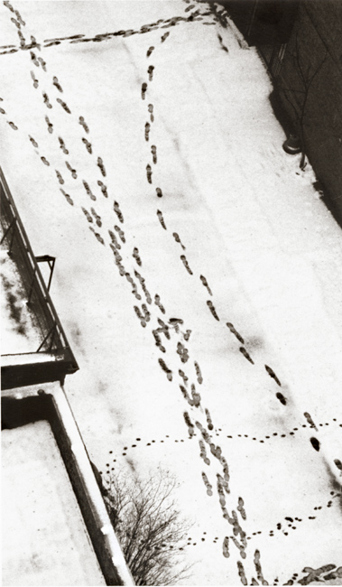 安德烈·柯特兹andré kertész(匈牙利1894—1985)摄影作品集1