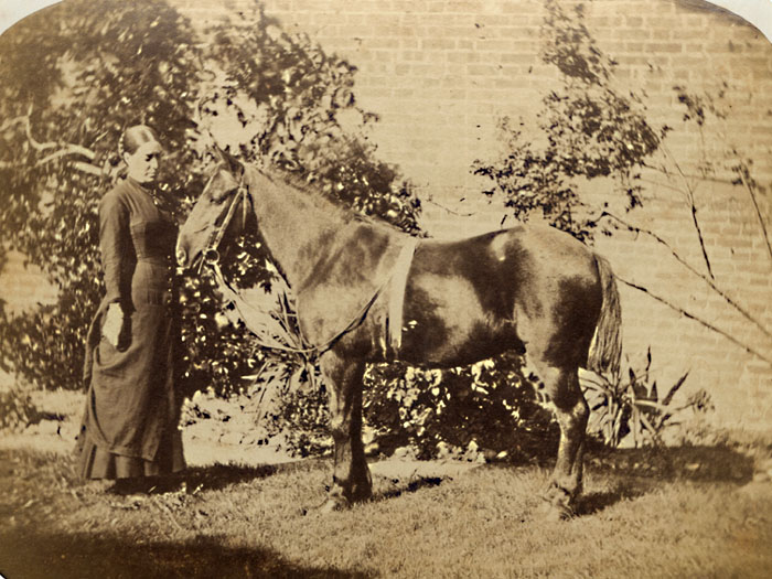 Lady with Horse