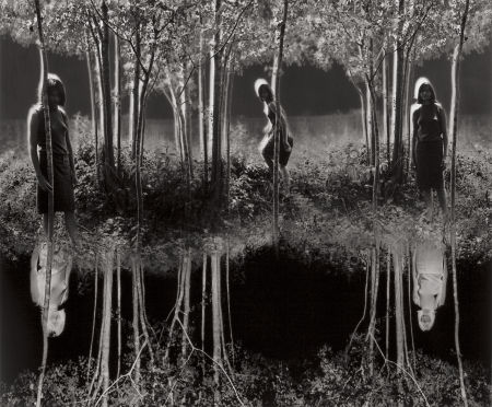 Jerry Uelsmann - Small Woods Where I Met Myself