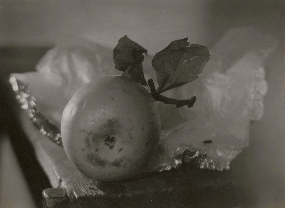 Josef Sudek - Still Life of a Pear and Wooden Table Josef Sudek - Still Life of a Pear and Wooden Table