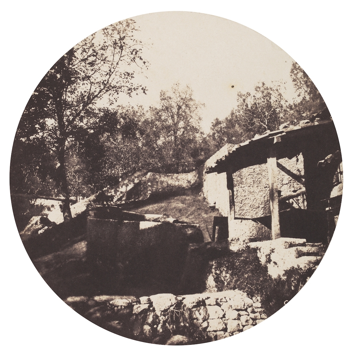 Charles Negre - Grasse, Environs de Cannes Charles Negre - Grasse, Environs de Cannes