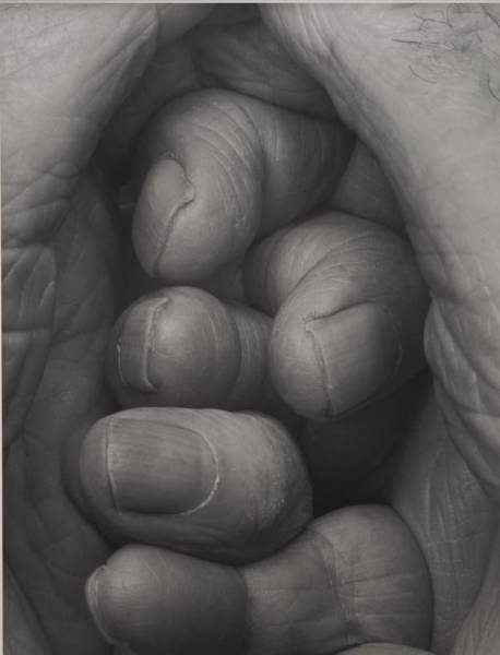 John Coplans - Self Portrait, Interlocking Fingers No. 19
