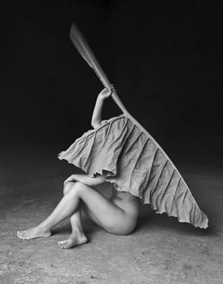 Flor Garduno - Flor Gardu�o: The Sonnets of Shakespeare