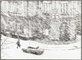 Ivo Prikryl - Snowstorm in Chumelenice, Czech Republic
