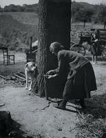 Andre Kertesz - "Do They Play Hide and Seek?" (Girl Ties up Dog to Play)