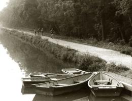 Barry Thumma - Morning Jogger along National Canal in Georgetown
