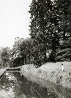 Jacques-Henri Lartigue - Huguette Sabouret au Ch�teau des Essarts, Veyvialle, France