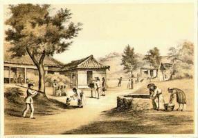 E. Brown - Perry Expedition to Japan of Photographer with Camera