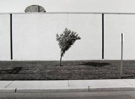 Tom Baril - Industrial Park, NJ