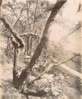 Jean-Eugene-Auguste Atget - Porte Dauphine, Les Fosses des Fortifications