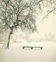 Marcel Bovis - Tuileries Gardens, Paris