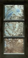 Jerry Spagnoli - Tree Study (Tryptic)
