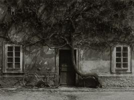 Stanko Abad�ic - Forgotten Bicycle