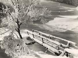Max Baur - Snow Scene, Germany