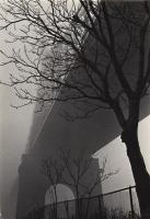 Susan McCartney - 59th Street Bridge in Fog, New York City, NY
