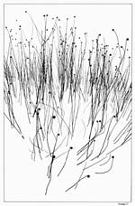 Jiri Bartos - Winter Graphics