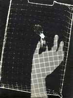 Photogram of Hand
