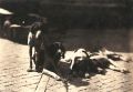Count Olympe Aguado - Hunting Dogs