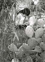 Stanko Abadžic - A Boy with Sombrero Stanko Abadžic - A Boy with Sombrero