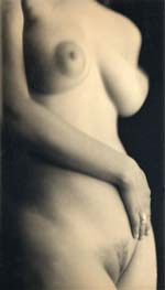 Charlie Schreiner - Torso (Female Nude) Charlie Schreiner - Torso (Female Nude)