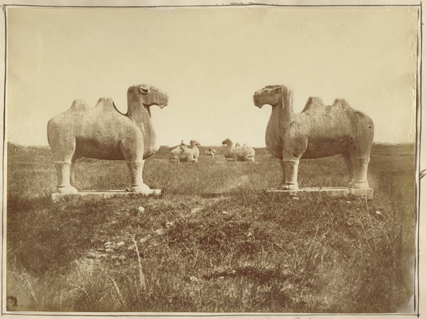 Anonymous - Monumental stone sculptures of camels Ming Dynasty.