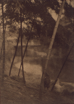 Chikurin (Bamboo Thicket)