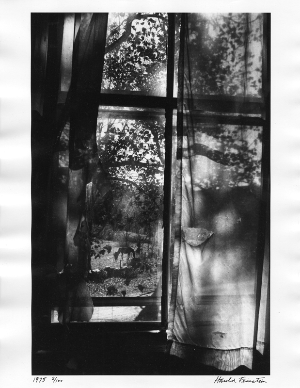 Harold Feinstein - From the Window