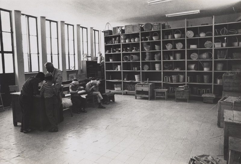 F.B. Grunzweig - Jerusalem School for the Blind, Three Images