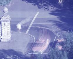 Charles Schwartz - Camera Obscura: Engineers' Gate, Central Park