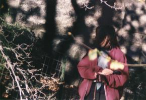 Charles Schwartz - Camera Obscura: Nancy in Central Park