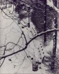 F.B. Grunzweig - Park in Snow, New York City