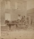 D.J. Ryan - Ox and Cart, Savannah, GA.