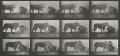 Eadweard Muybridge - Animal Locomotion Plate 727 - Lioness Walking, Lion Lying Down