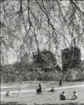 John Albok - Spring, Central Park, NY (North Meadow - around 99th Street on the East Side)
