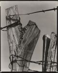 Ralph Steiner - "Fence Post with Barbed Wire" Ralph Steiner - "Fence Post with Barbed Wire"