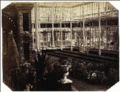 B. L. Spackman (attributed to) - Construction of the 1862 International Exhibition at South Kensington [Interior View with Foliage]
