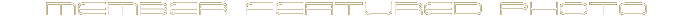 Member Galleries