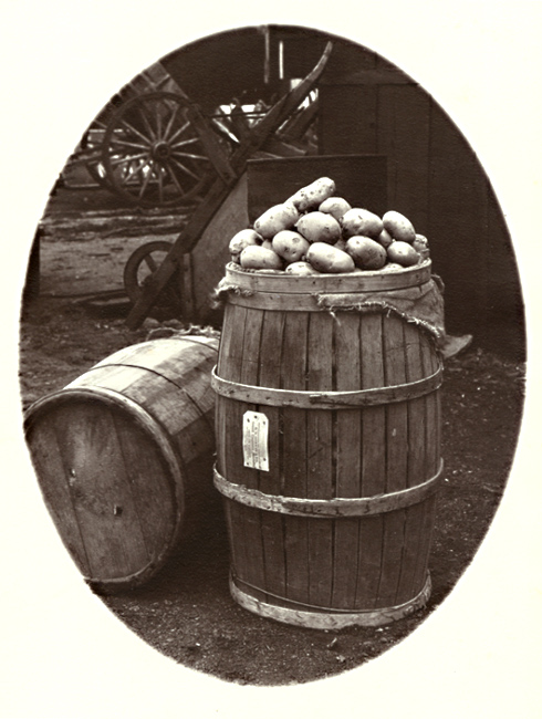Barrels, Potatoes and Wheelbarrows