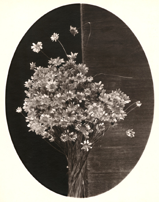 George A. Eisenman - Straw Flowers