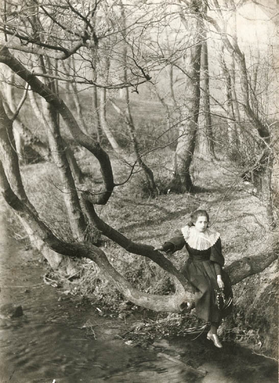 Frederick Evans (Circle of) - Girl in Tree by Stream, Epping Forest, England