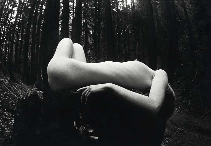James Fee - Female Nude in Forest