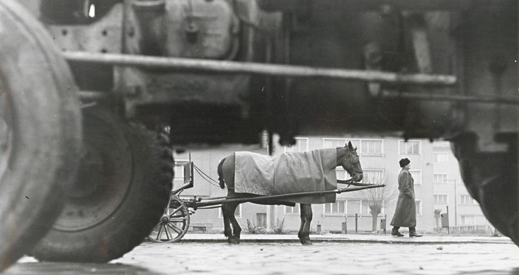 Untitled (Horse Pulling Wagon)