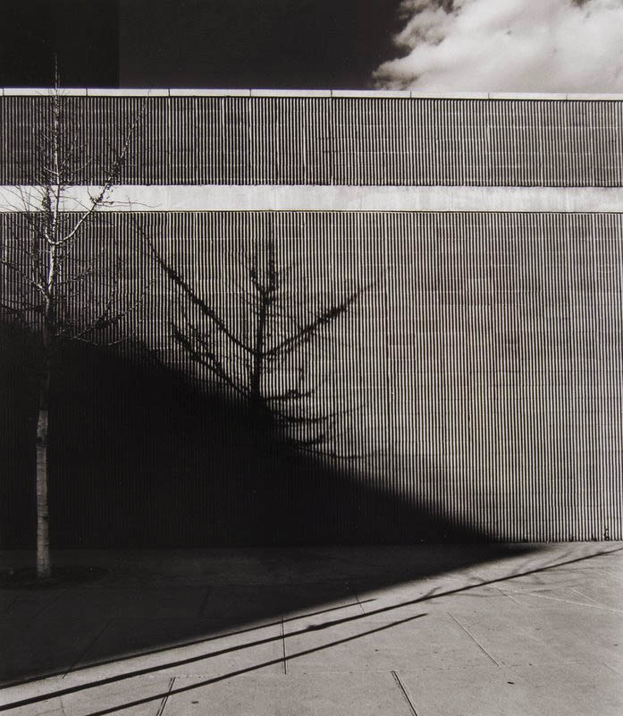 Ribbed Wall (shadows), NYC