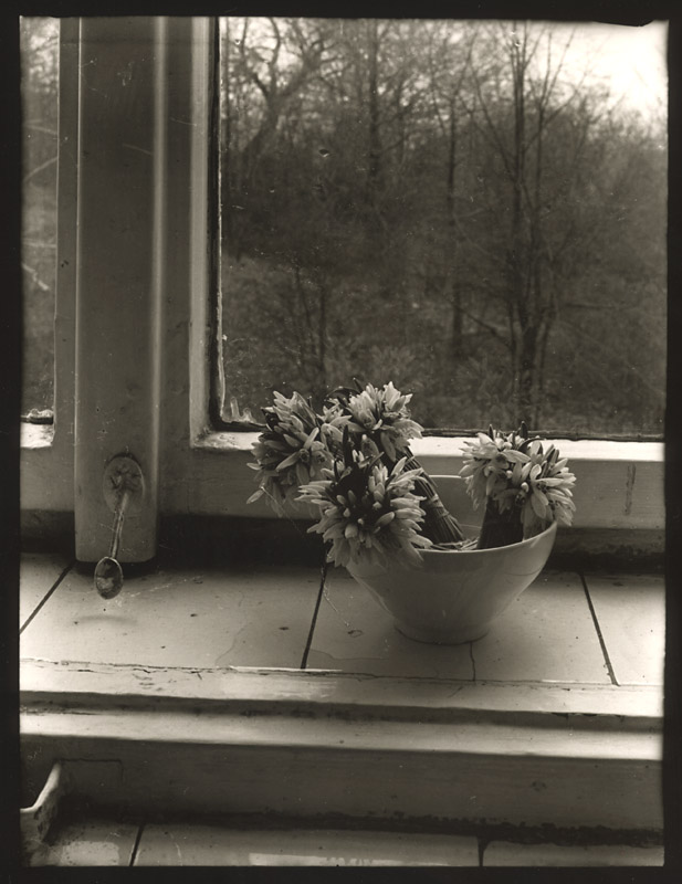 Petr Helbich - Still Life on a Window Sill