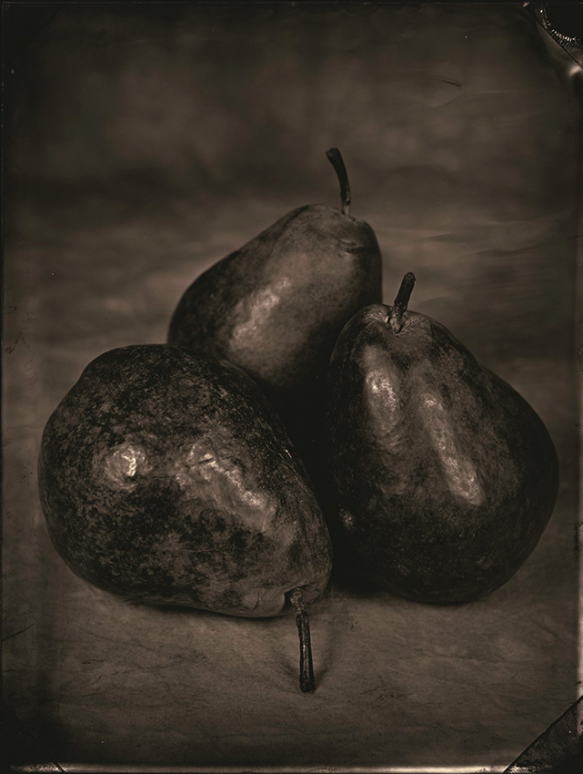 Tom Baril - Three Pears