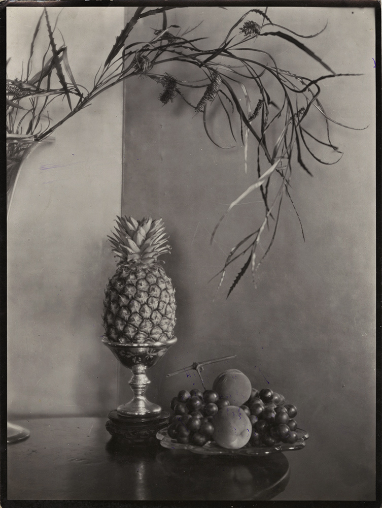 Emil Otto Hoppé - Pineapple Still Life