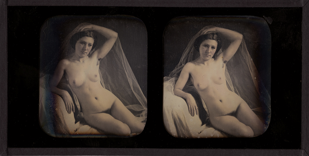 Seated Female Nude with Veil