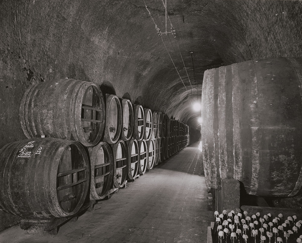 Rene-Jacques (Rene Giton) - Champagne Cellars and Barrels
