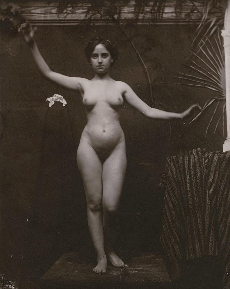 Anonymous - Standing Female Nude with Arms Outstretched